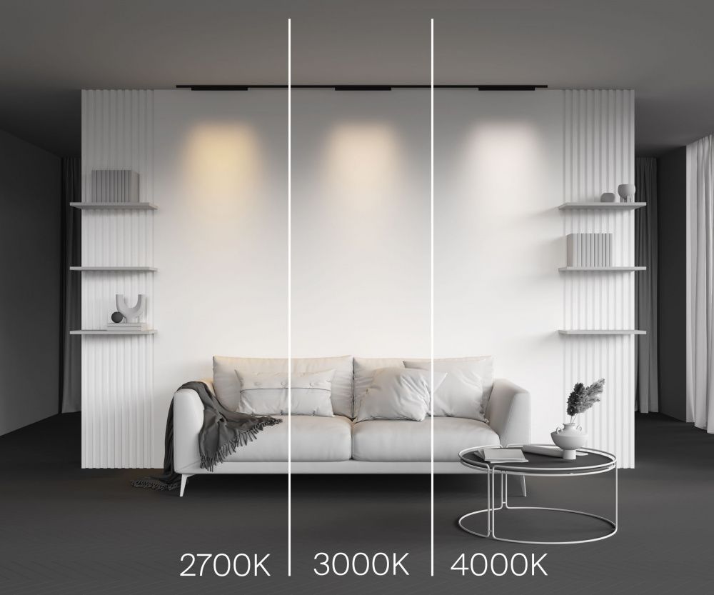 Трековый светильник Maytoni TR193-1-20W4K-M-B