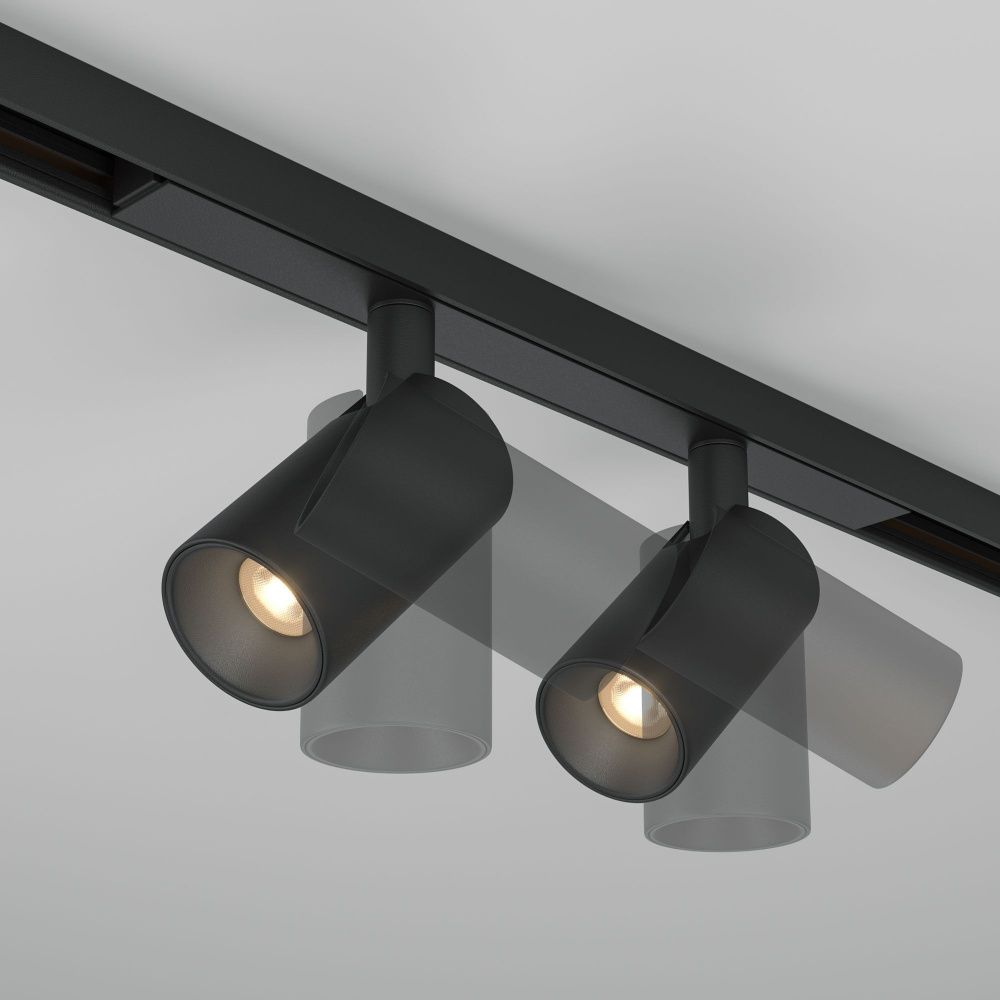 Трековый светильник Maytoni TR176-1-2X5WTW-M-B