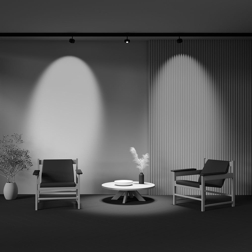 Трековый светильник Maytoni TR217-2-15W3K-B