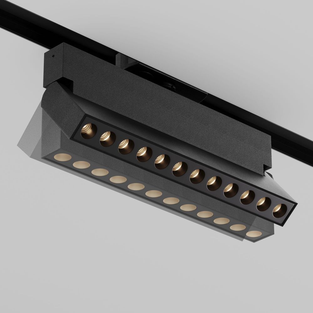 Трековый светильник Maytoni TR224-1-12WCCT-M-B