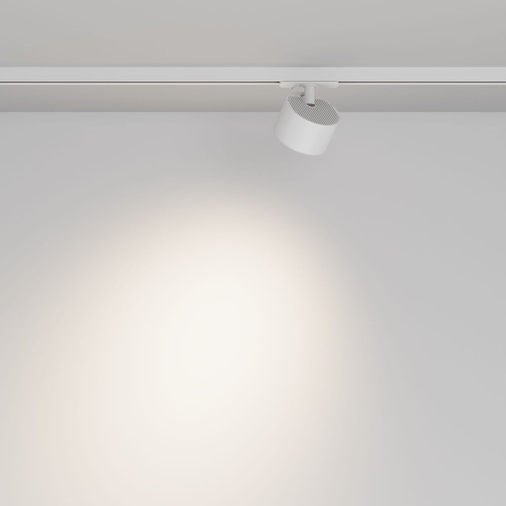 Трековый светильник Maytoni TR225-1-GX53-W
