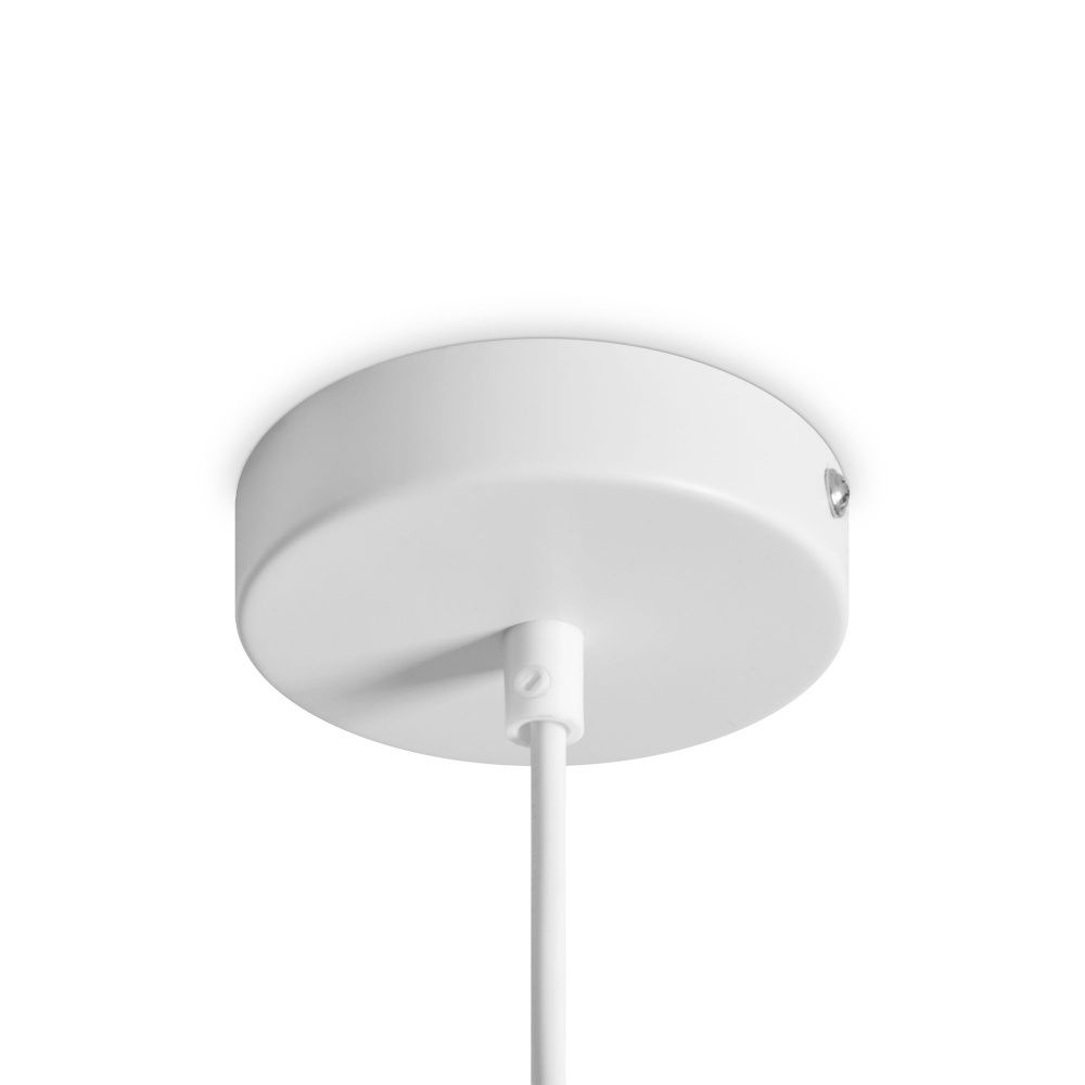 Подвесной светильник Freya FR5530PL-L10W