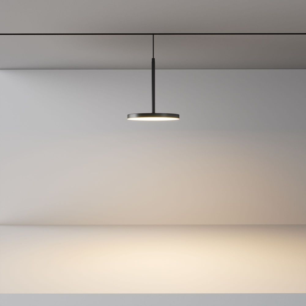 Трековый светильник Maytoni TR123-2-15W3K-B