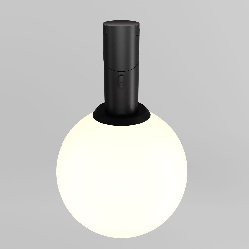 Трековый светильник Maytoni TR208-1-5W3K-B