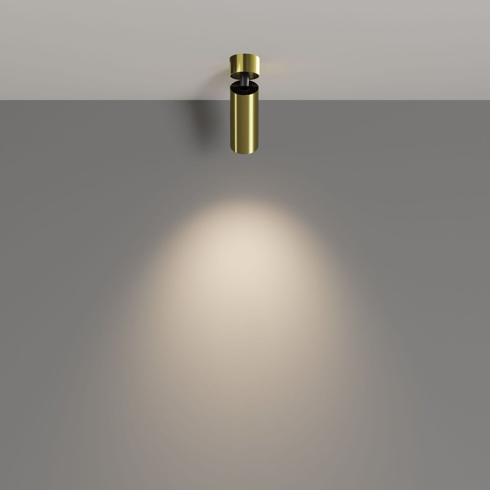 Потолочный светильник Maytoni C055CL-L12W4K-W-BS