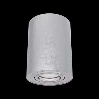 Потолочный светильник Maytoni Alfa C016CL-01S фото