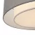 Потолочный светильник Maytoni MOD613CL-04GR фото