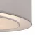 Потолочный светильник Maytoni MOD617CL-04GR фото