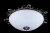 Потолочный светильник Maytoni Speria C900-CL-05-R фото