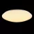 Потолочный светодиодный светильник Freya Gloria FR6999-CL-45-W фото