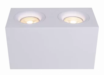 Потолочный светильник Technical C013CL-02W фото
