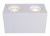 Потолочный светильник Technical C013CL-02W фото