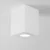 Потолочный светильник Technical C017CL-01W фото