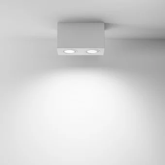 Потолочный светильник Technical C017CL-02W фото