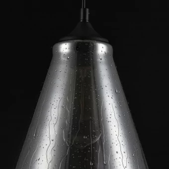 Подвесной светильник Maytoni Bergen T314-01-B фото